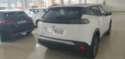 
										PEUGEOT 2008 1.5HDI ACTIVE completo									