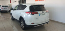 
										TOYOTA RAV 4 2.0D ADVANCE completo									