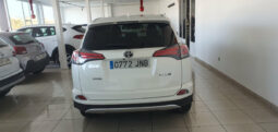 
										TOYOTA RAV 4 2.0D ADVANCE completo									